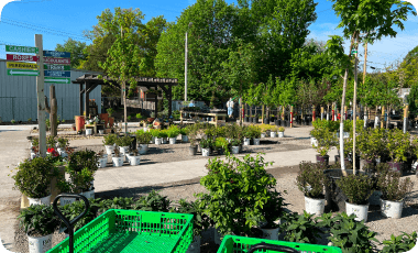 Frame 2147228263 (1)