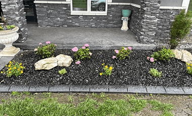 image 36239 (1)
